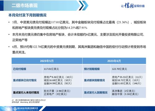 中資美元債市場信息月報(bào)（2023年5月） 一級(jí)市場發(fā)行繼續(xù)低迷，二級(jí)市場表現(xiàn)保持分化